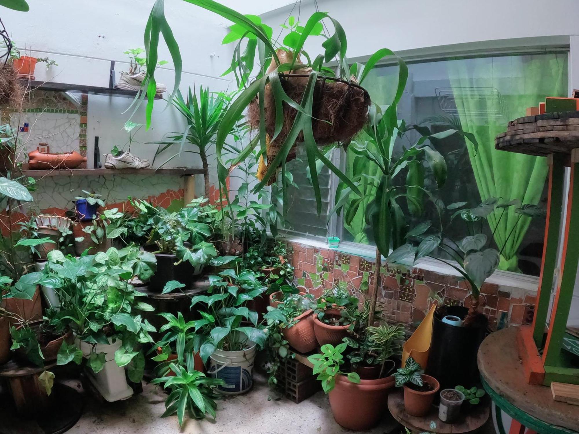 Hostal Rich Medellín Dış mekan fotoğraf